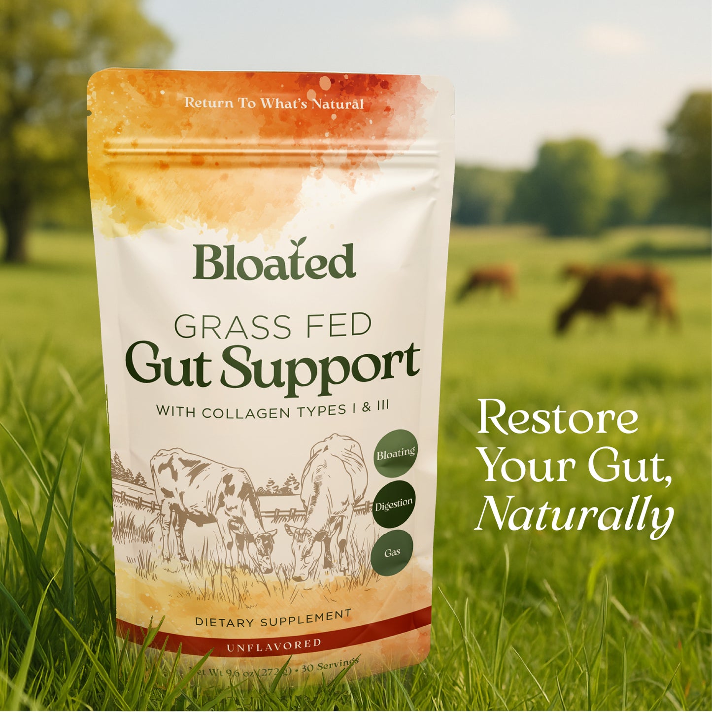Grass Fed Gut Support (30 Servings)