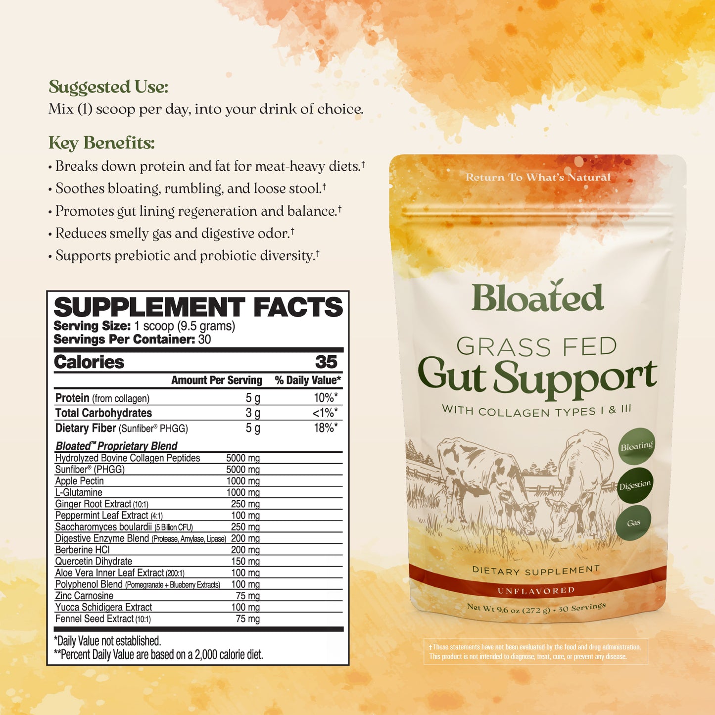Grass Fed Gut Support (30 Servings)